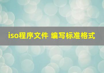 iso程序文件 编写标准格式